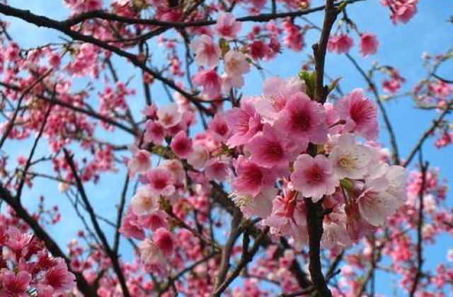 Ploi in aproape toata tara, vineri. Cum va fi vremea de Paste