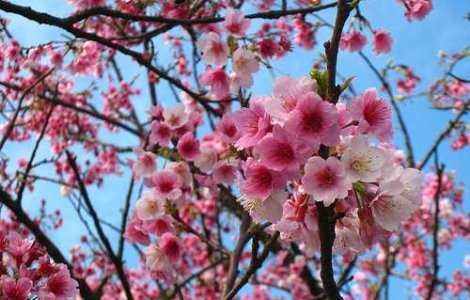 Ploi in aproape toata tara, vineri. Cum va fi vremea de Paste