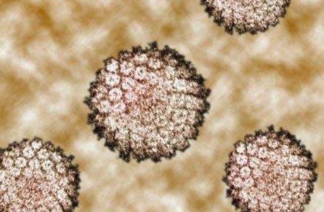 Cancerul, o boala ce ucide in 186 de forme