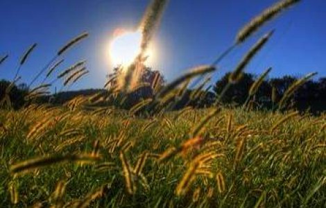  Video  Furtunile ajung in toata tara. Ce au lasat in urma in Vest