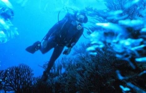  Video  DA! subacvatic: Nunta la 5 metri sub apa