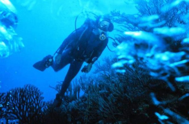 [VIDEO] DA! subacvatic: Nunta la 5 metri sub apa