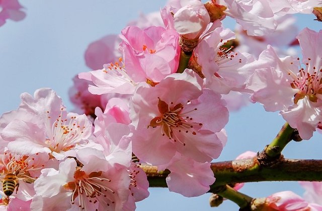 Vremea in noaptea de Inviere si in ziua de Paste