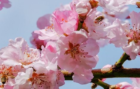 Vremea in noaptea de Inviere si in ziua de Paste