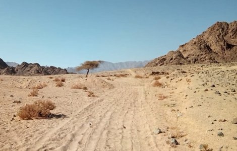 Alti sapte oameni au fost ucisi la granita dintre Fasia Gaza si Israel. Violentele continua