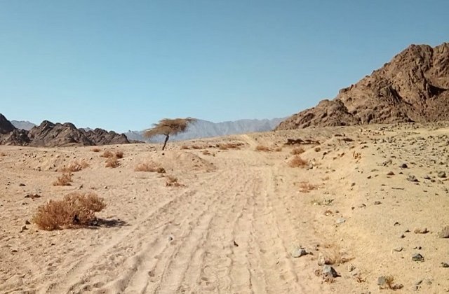 Alti sapte oameni au fost ucisi la granita dintre Fasia Gaza si Israel. Violentele continua