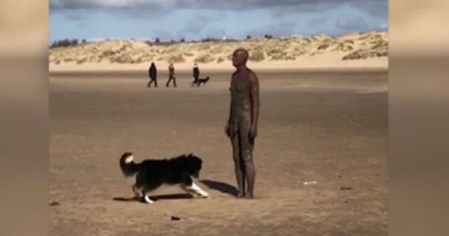 Un caine incearca sa se joace cu o statuie / VIDEO