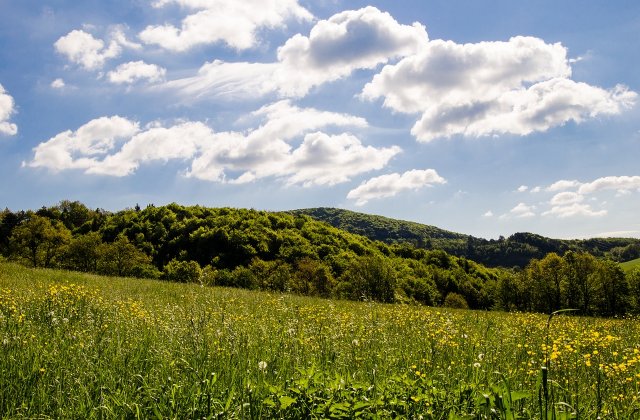 Temperaturi de vara in a doua zi de Paste