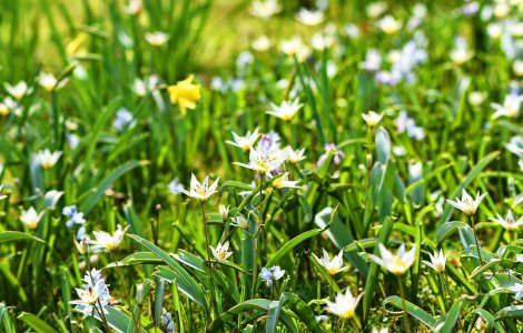 Cum va fi vremea in urmatoarele doua saptamani