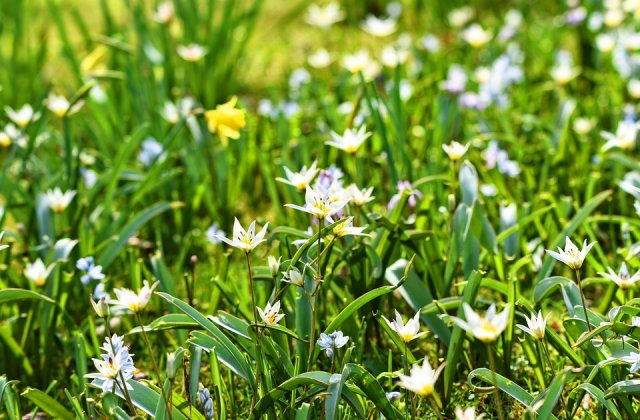 Cum va fi vremea in urmatoarele doua saptamani