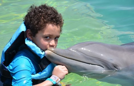  Top  Top 10 cele mai prietenoase animale din lume