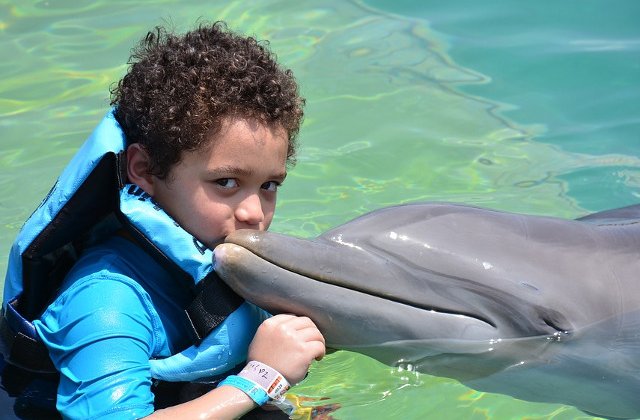 Top 10 cele mai prietenoase animale din lume