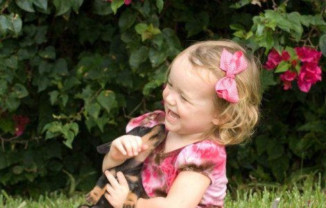 Stapanii de animale sunt mai FERICITI!