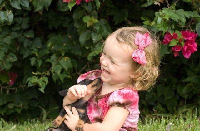 Stapanii de animale sunt mai FERICITI!