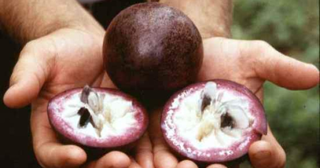  Top  Top 10: Fructe pe care probabil nu le cunosteai