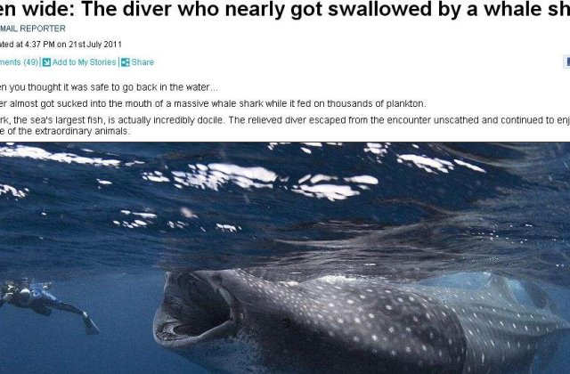 Ce patesti daca te inghite un rechin-balena?