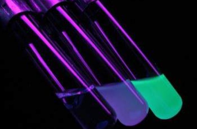 Alerta in Arad: Apa din fantani contine E.coli