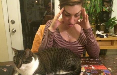  Top  10+ imagini care demonstreaza ca pisicile nu sunt doar imprevizibile, ci si extrem de egoiste