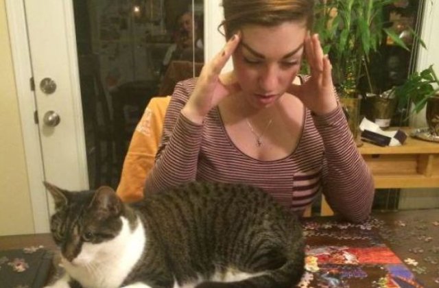 10+ imagini care demonstreaza ca pisicile nu sunt doar imprevizibile, ci si extrem de egoiste