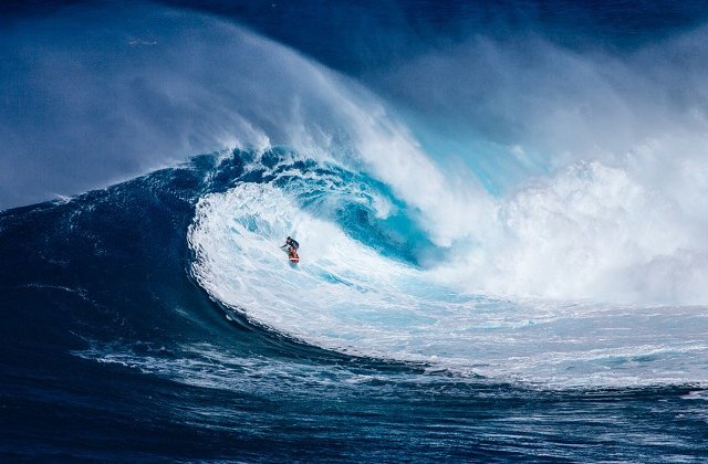 Un surfer a fost atacat si ranit de un rechin in Australia de Vest