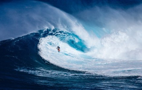 Un surfer a fost atacat si ranit de un rechin in Australia de Vest