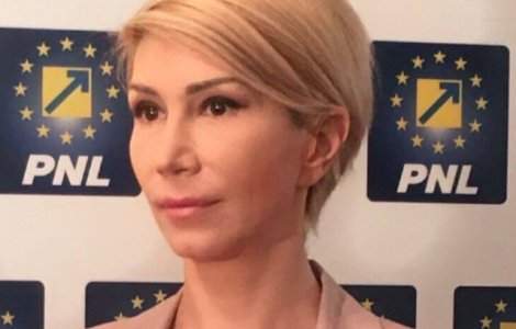 Turcan: PNL va contesta la CCR infiintarea Comisiei speciale privind legile sigurantei nationale/ VIDEO