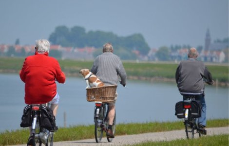 Exercitiile fizice, mai eficiente decat suplimentele cu vitamina D pentru prevenirea caderilor la varstnici