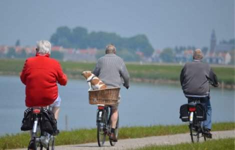 Exercitiile fizice, mai eficiente decat suplimentele cu vitamina D pentru prevenirea caderilor la varstnici