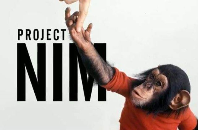 Proiectul Nim: Ce se intampla cand cresti un cimpanzeu ca pe un copil?