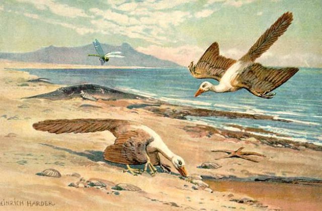 Archaeopterix NU a fost stramosul pasarilor