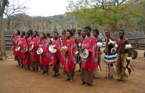 Afica de Sud: Pacienti infectati cu HIV mananca balegar de vaca