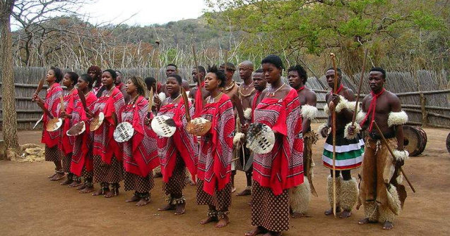 Afica de Sud: Pacienti infectati cu HIV mananca balegar de vaca