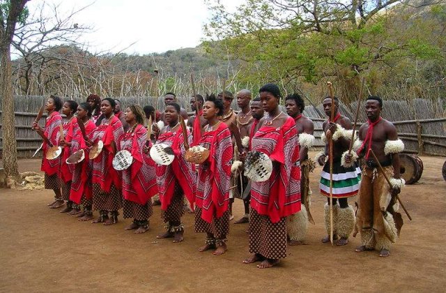 Afica de Sud: Pacienti infectati cu HIV mananca balegar de vaca