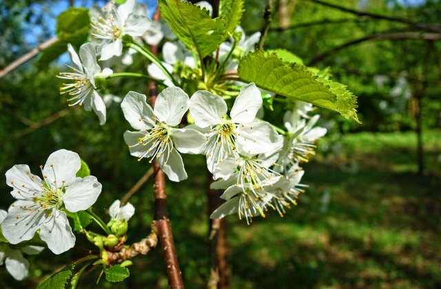 Prognoza meteo pentru urmatoarea saptamana. Temperaturile vor ajunge si la 30 de grade