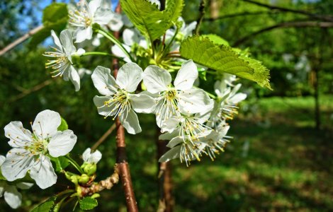 Prognoza meteo pentru urmatoarea saptamana. Temperaturile vor ajunge si la 30 de grade