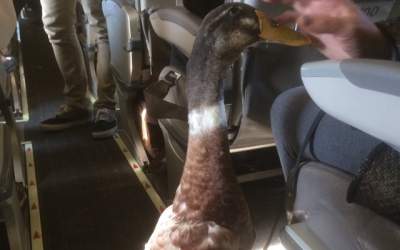 8 tweet-uri amuzante ale...