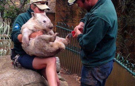  Top  10 imagini care te vor ajuta sa te destinzi dupa o zi stresanta