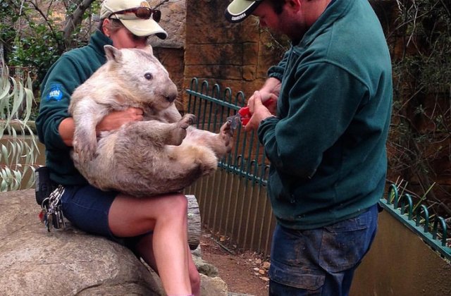 10 imagini care te vor ajuta sa te destinzi dupa o zi stresanta