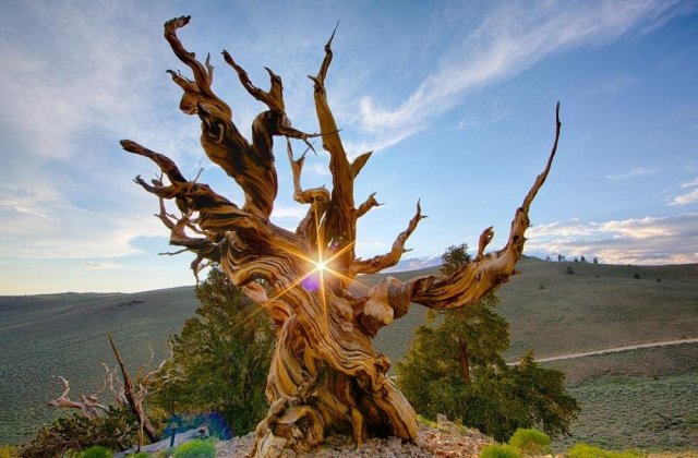 9 imagini impresionante care demonstreaza ca natura nu are nevoie de retusuri pentru a fi perfecta