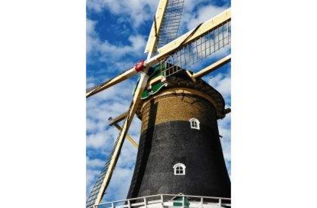 Cetatenii romani, nedoriti in Olanda