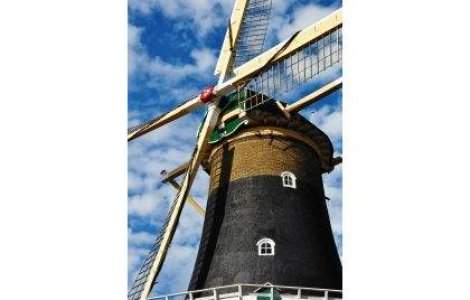 Cetatenii romani, nedoriti in Olanda