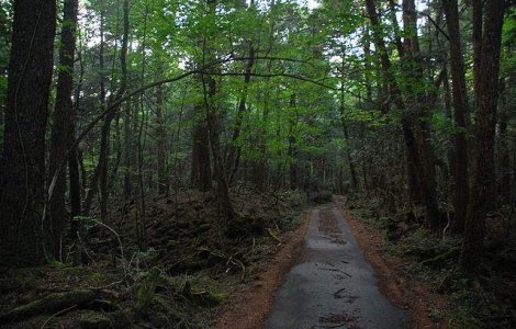 Adolescenta de 18 ani, ucisa intr-o padure cu 30 de lovituri de cutit de un baiat de 16 ani