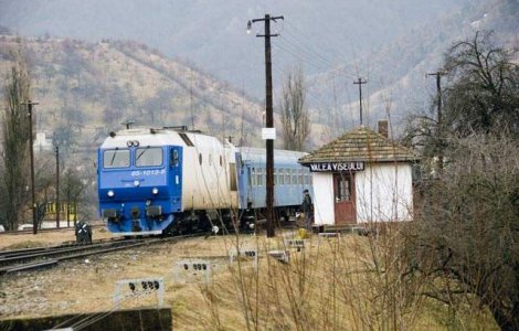 Ce companii de stat vor avea manageri privati?