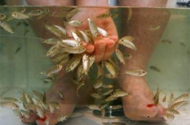 Top cinci spa-uri inedite in Europa