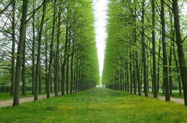 10+1 imagini perfecte care demonstreaza ca unele fotografii nu au nevoie de Photoshop