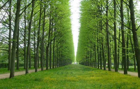  Top  10+ imagini care arata ca unele fotografii nu au nevoie de Photoshop