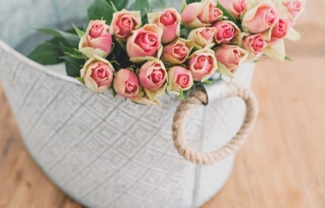 Secretele ADN-ului trandafirilor, descifrate de oamenii de stiinta