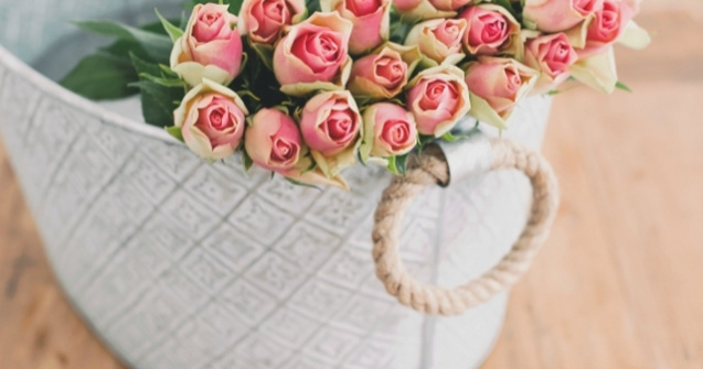 Secretele ADN-ului trandafirilor, descifrate de oamenii de stiinta