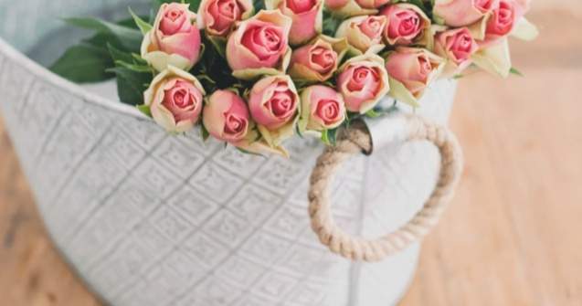 Secretele ADN-ului trandafirilor, descifrate de oamenii de stiinta