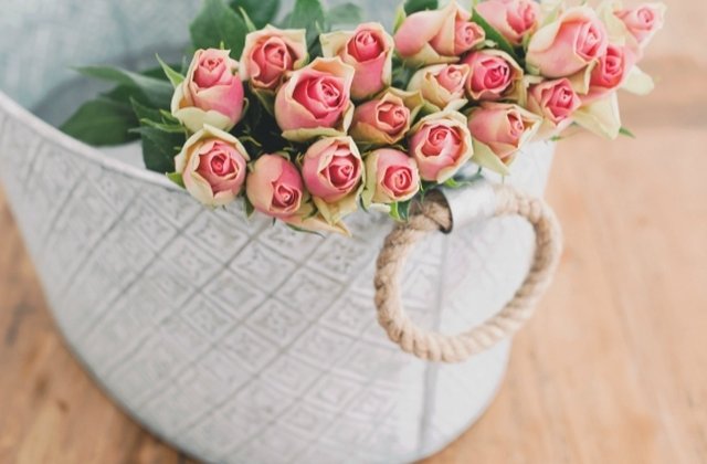 Secretele ADN-ului trandafirilor, descifrate de oamenii de stiinta